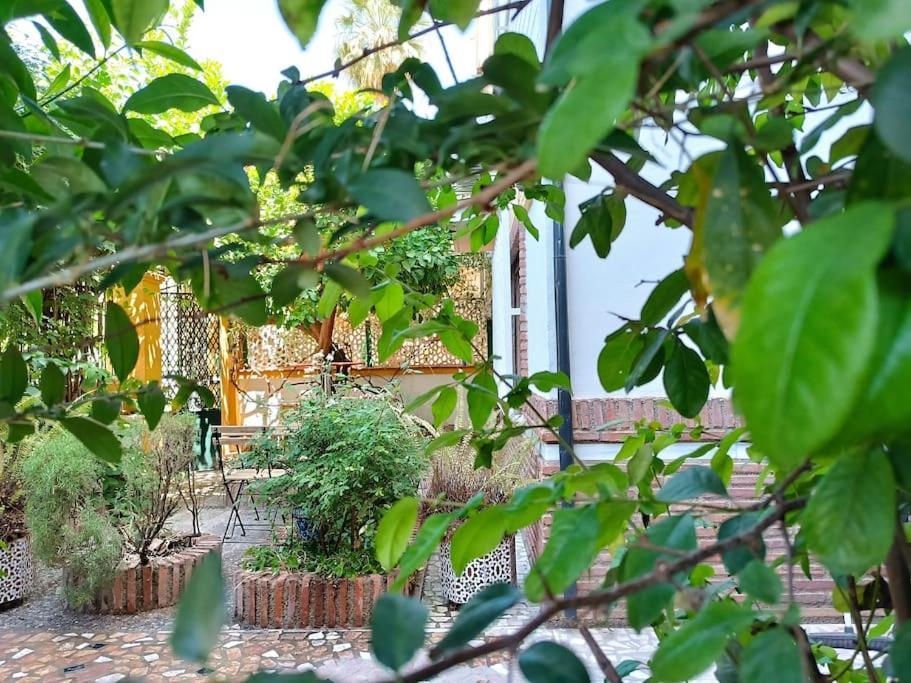 Willa Casa Limonero Con Parking Gratis Junto A Centro Historico Grenada Zewnętrze zdjęcie