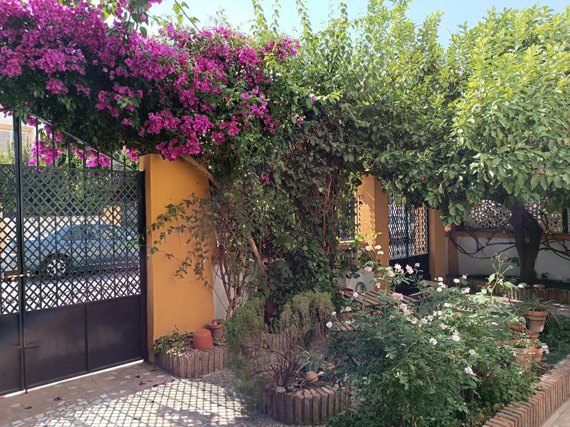 Willa Casa Limonero Con Parking Gratis Junto A Centro Historico Grenada Zewnętrze zdjęcie